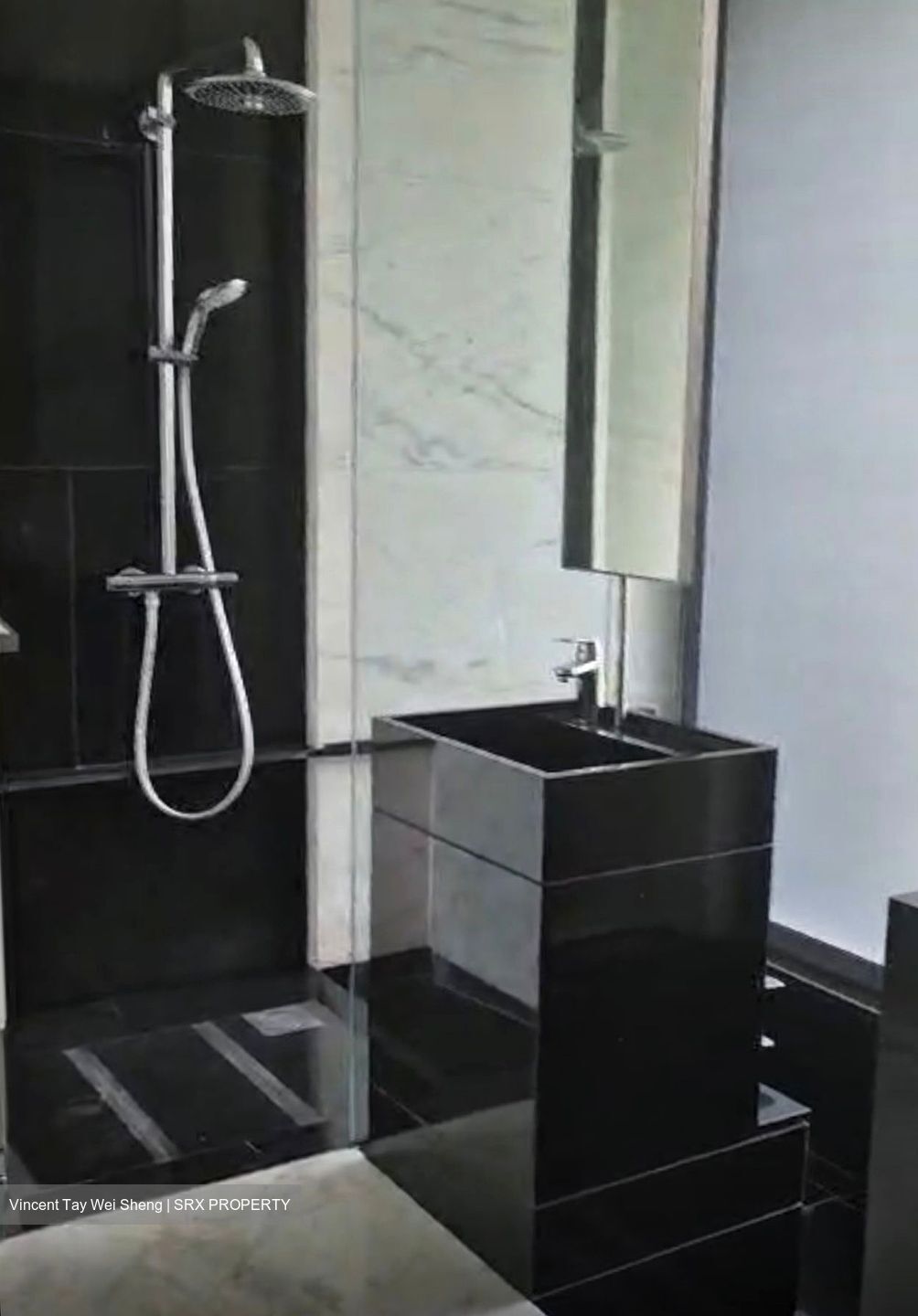 The Trizon (D10), Condominium #486913891